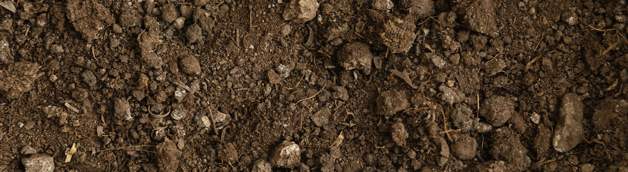 close up of dirt
