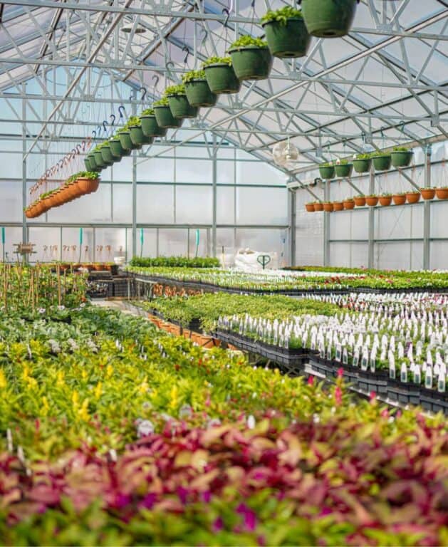 interior of garden center