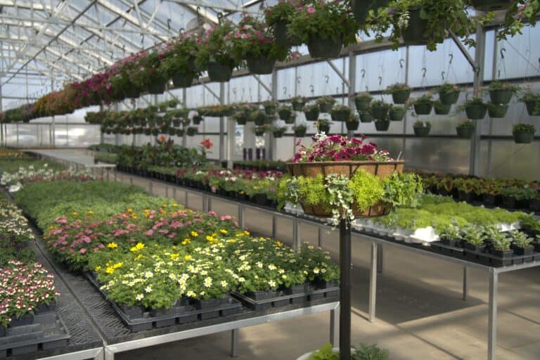 plantings and garden center town of empire wi