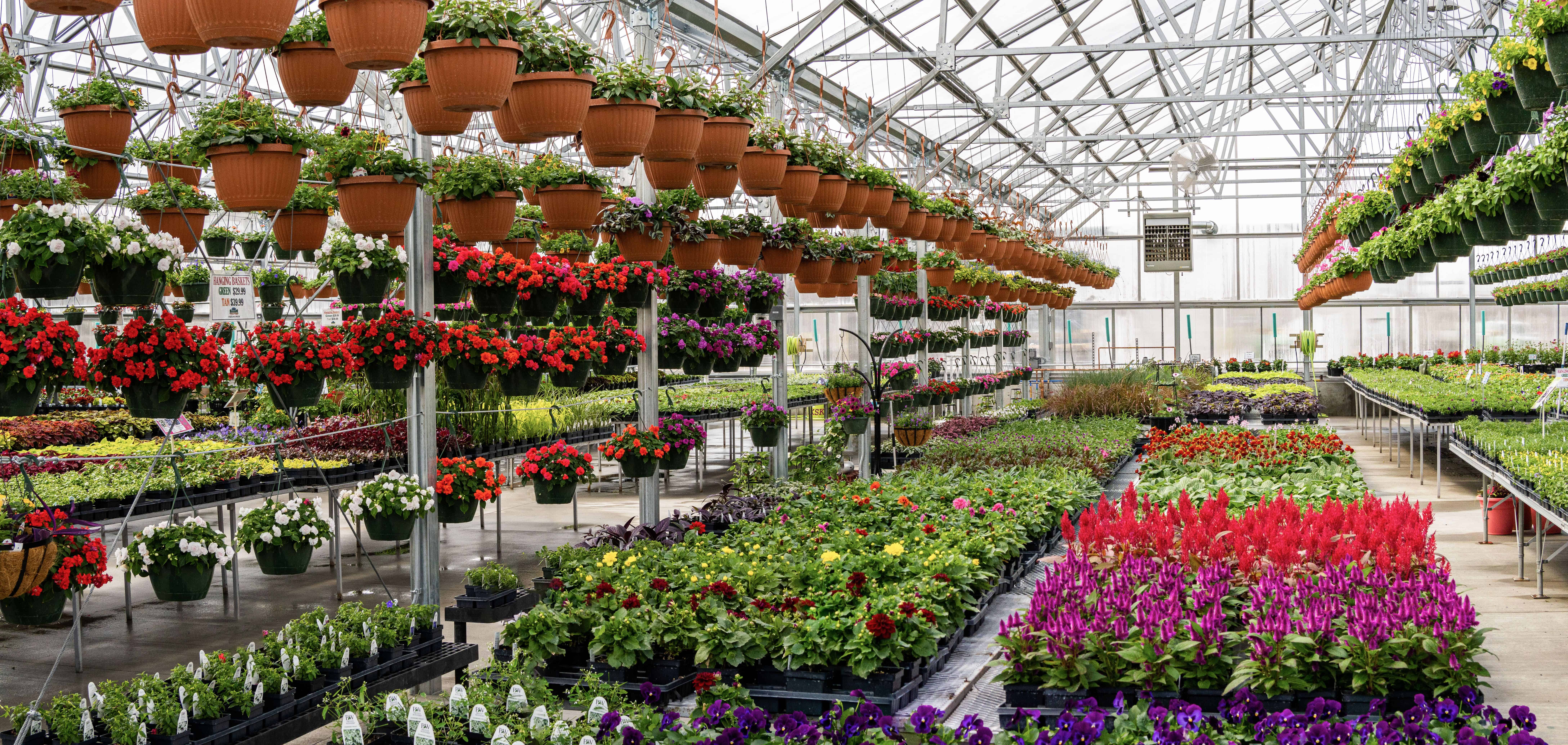 From Seedlings to Shade Trees: Visit the Premier Garden Center & Tree Farm in the Town of Algoma, WI