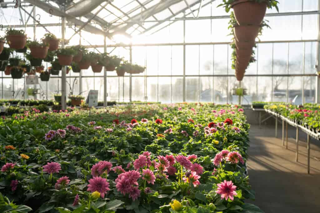 tree farm and garden center in waupun, wi