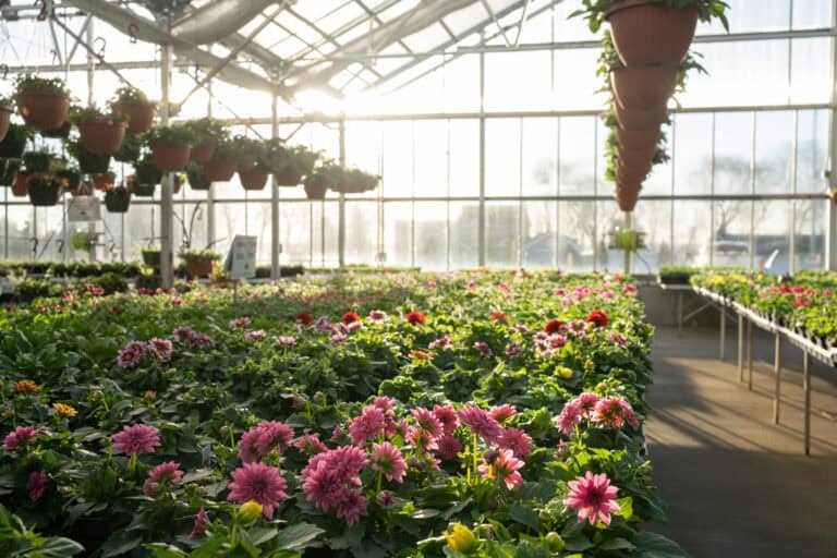 tree farm and garden center in waupun, wi