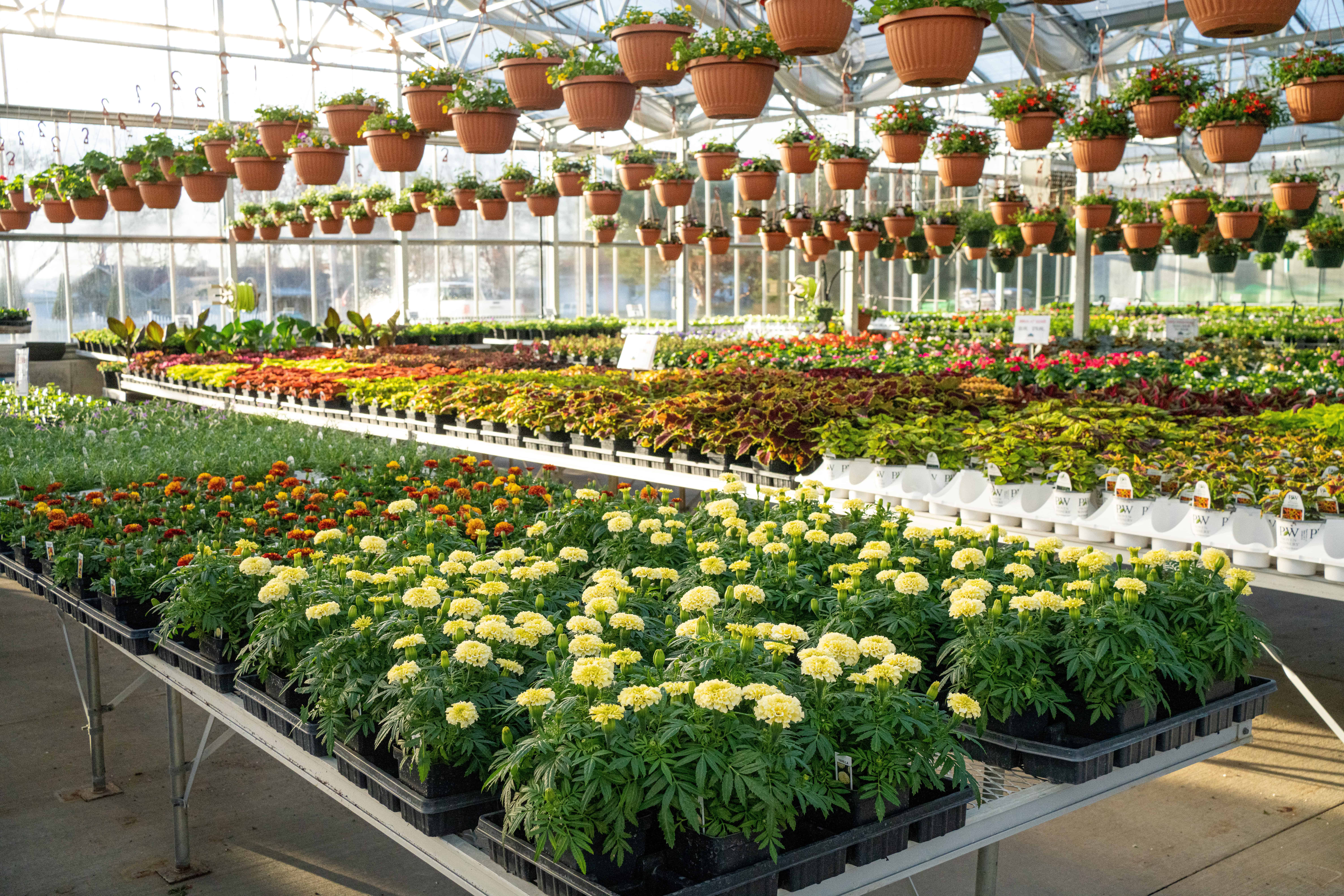 How a Visit to a Garden Center in Fond du Lac, WI, Helps Homeowners Love Their Yard Again