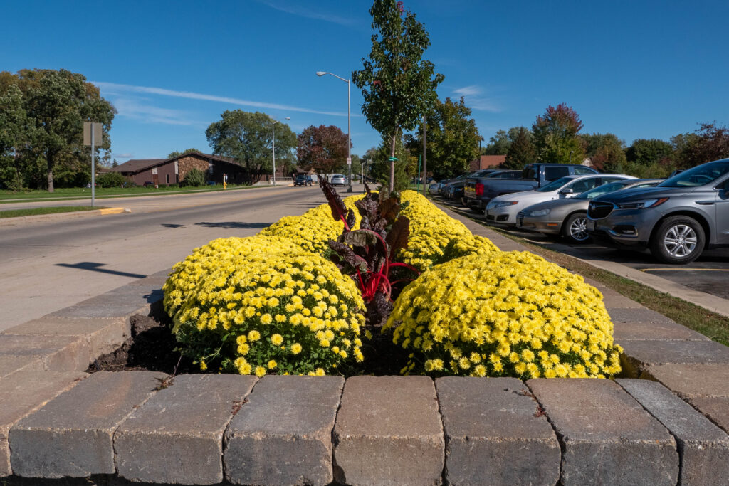 commercial landscaping company